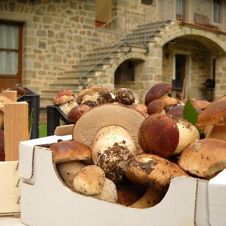 La Casa Del Sarto - Federicofarm Villa ปอนเตรโมลิ ภายนอก รูปภาพ