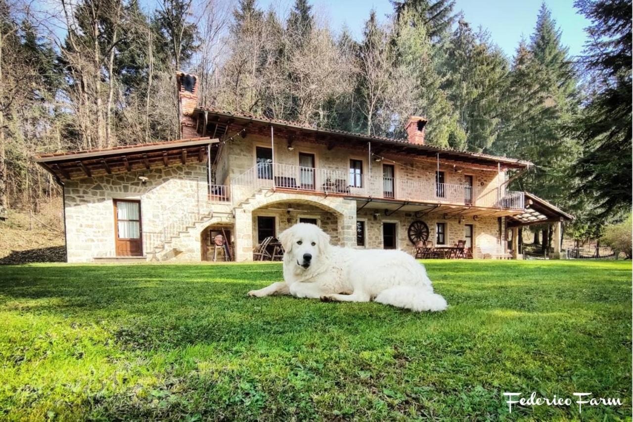 La Casa Del Sarto - Federicofarm Villa ปอนเตรโมลิ ภายนอก รูปภาพ