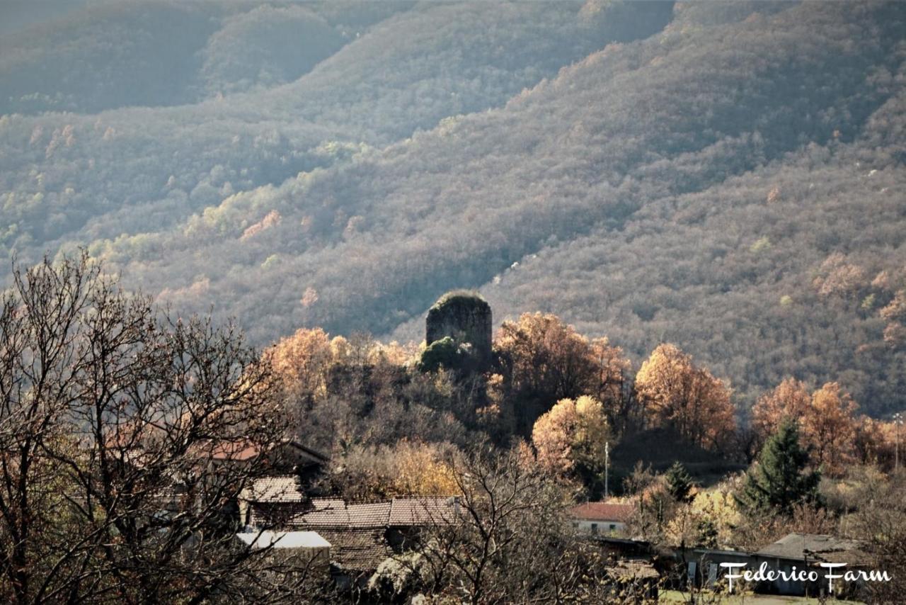 La Casa Del Sarto - Federicofarm Villa ปอนเตรโมลิ ภายนอก รูปภาพ