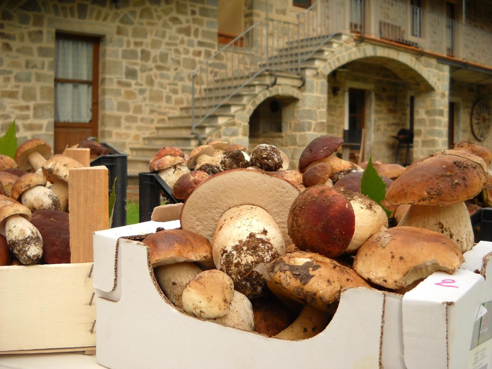 La Casa Del Sarto - Federicofarm Villa ปอนเตรโมลิ ภายนอก รูปภาพ