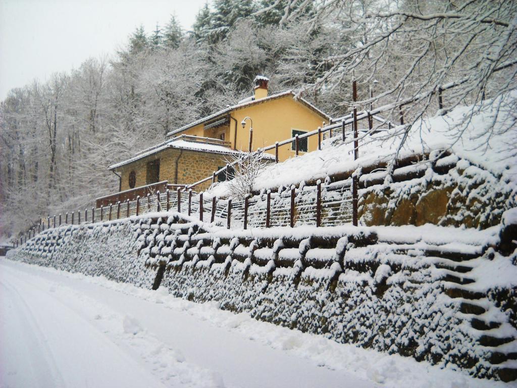 La Casa Del Sarto - Federicofarm Villa ปอนเตรโมลิ ภายนอก รูปภาพ